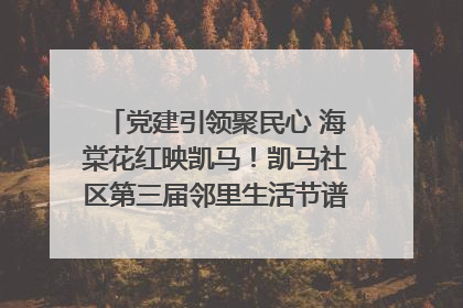 党建引领聚民心 海棠花红映凯马！凯马社区第三届邻里生活节谱写幸福新篇章