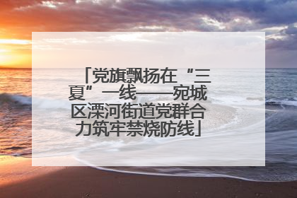 党旗飘扬在“三夏”一线——宛城区溧河街道党群合力筑牢禁烧防线