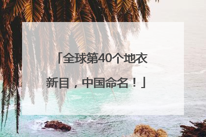 全球第40个地衣新目，中国命名！