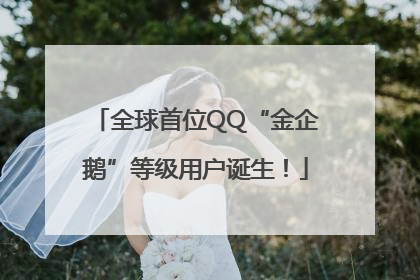 全球首位QQ“金企鹅”等级用户诞生！
