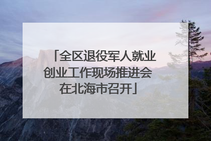 全区退役军人就业创业工作现场推进会在北海市召开