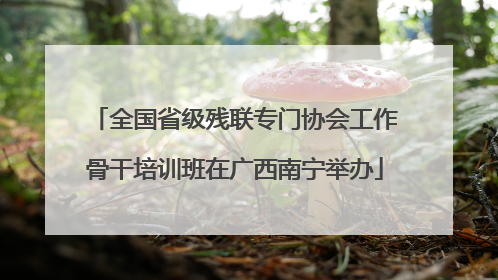 全国省级残联专门协会工作骨干培训班在广西南宁举办