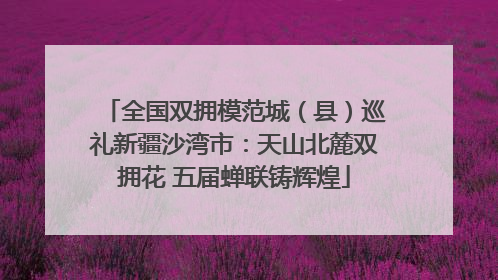 全国双拥模范城（县）巡礼新疆沙湾市：天山北麓双拥花 五届蝉联铸辉煌