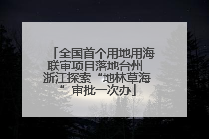 全国首个用地用海联审项目落地台州 浙江探索“地林草海”审批一次办