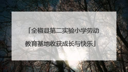 全椒县第二实验小学劳动教育基地收获成长与快乐