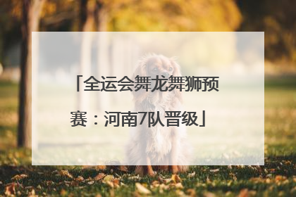 全运会舞龙舞狮预赛：河南7队晋级