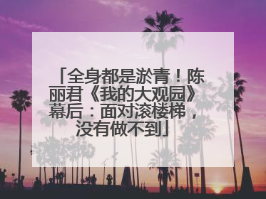 全身都是淤青！陈丽君《我的大观园》幕后：面对滚楼梯，没有做不到