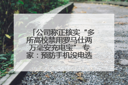 公司称正核实“多所高校禁用罗马仕两万毫安充电宝” 专家：预防手机没电选中等体积产品即可