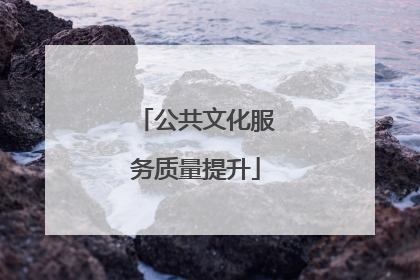 公共文化服务质量提升
