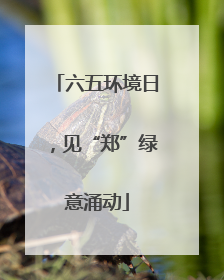 六五环境日，见“郑”绿意涌动