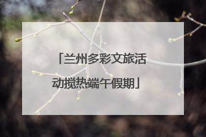 兰州多彩文旅活动搅热端午假期