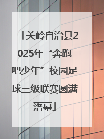 关岭自治县2025年“奔跑吧少年”校园足球三级联赛圆满落幕