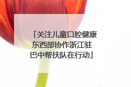 关注儿童口腔健康 东西部协作浙江驻巴中帮扶队在行动