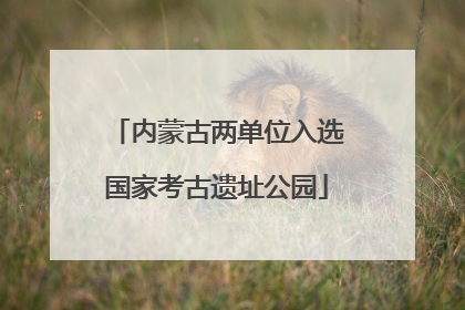 内蒙古两单位入选国家考古遗址公园