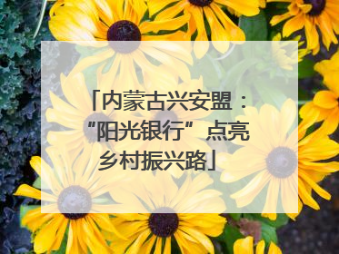 内蒙古兴安盟：“阳光银行”点亮乡村振兴路