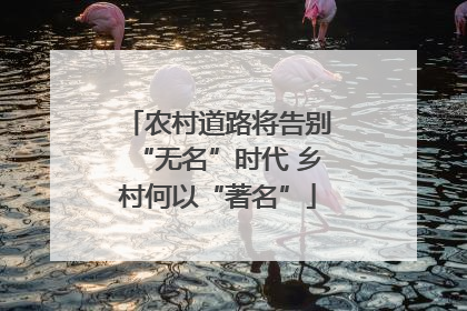 农村道路将告别“无名”时代 乡村何以“著名”