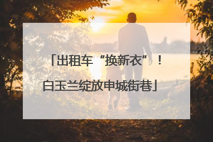 出租车“换新衣”！白玉兰绽放申城街巷
