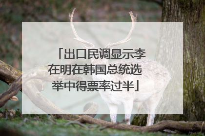 出口民调显示李在明在韩国总统选举中得票率过半