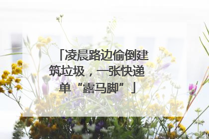 凌晨路边偷倒建筑垃圾，一张快递单“露马脚”