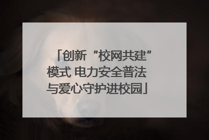 创新“校网共建”模式 电力安全普法与爱心守护进校园