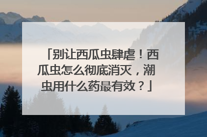 别让西瓜虫肆虐！西瓜虫怎么彻底消灭，潮虫用什么药最有效？