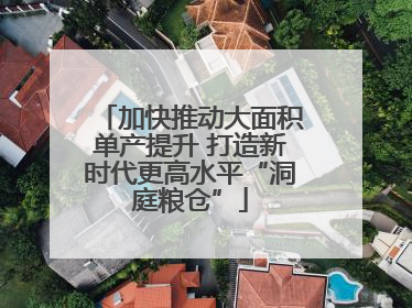加快推动大面积单产提升 打造新时代更高水平“洞庭粮仓”