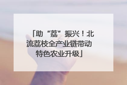 助“荔”振兴！北流荔枝全产业链带动特色农业升级