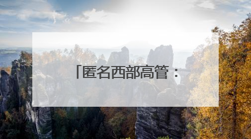 匿名西部高管：湖人对布朗尼有明确的培养计划
