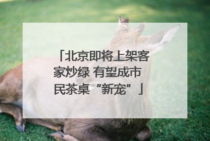 北京即将上架客家炒绿 有望成市民茶桌“新宠”