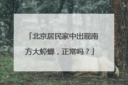 北京居民家中出现南方大蟑螂，正常吗？