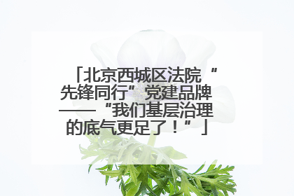 北京西城区法院“先锋同行”党建品牌——“我们基层治理的底气更足了！”