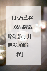 北汽蓝谷：双品牌战略领航，开启发展新征程