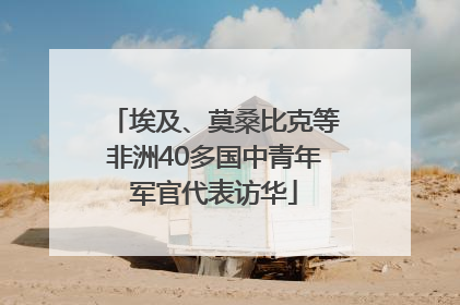 埃及、莫桑比克等非洲40多国中青年军官代表访华