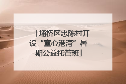 埇桥区忠陈村开设“童心港湾”暑期公益托管班