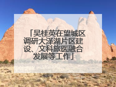 吴桂英在望城区调研大泽湖片区建设、文科旅医融合发展等工作