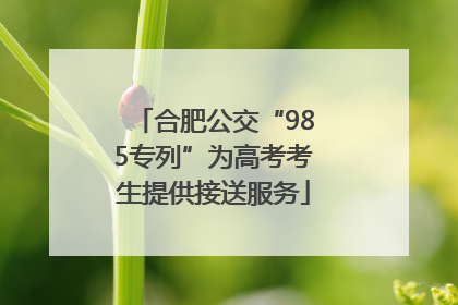 合肥公交“985专列”为高考考生提供接送服务
