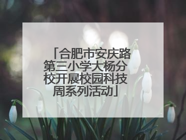 合肥市安庆路第三小学大杨分校开展校园科技周系列活动