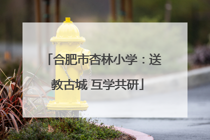 合肥市杏林小学：送教古城 互学共研