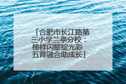 合肥市长江路第三小学兰亭分校：榜样闪耀绽光彩 五育融合助成长