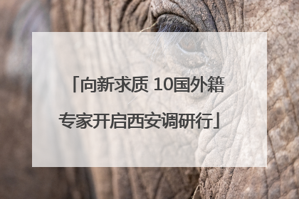 向新求质 10国外籍专家开启西安调研行