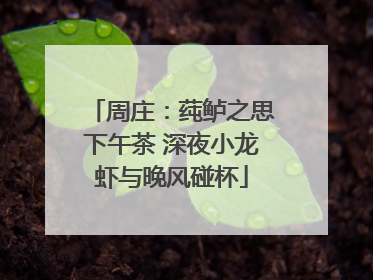 周庄：莼鲈之思下午茶 深夜小龙虾与晚风碰杯