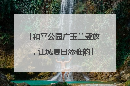 和平公园广玉兰盛放，江城夏日添雅韵