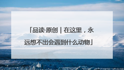 品读·原创｜在这里，永远想不出会遇到什么动物