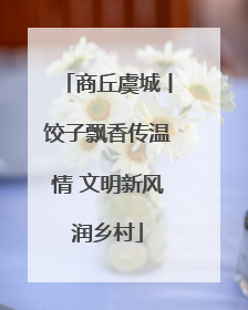 商丘虞城丨饺子飘香传温情 文明新风润乡村