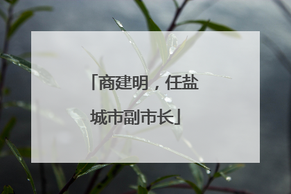 商建明，任盐城市副市长