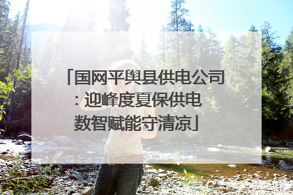 国网平舆县供电公司：迎峰度夏保供电  数智赋能守清凉