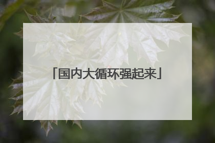 国内大循环强起来