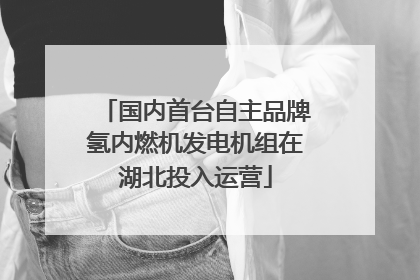 国内首台自主品牌氢内燃机发电机组在湖北投入运营