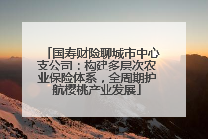 国寿财险聊城市中心支公司：构建多层次农业保险体系，全周期护航樱桃产业发展