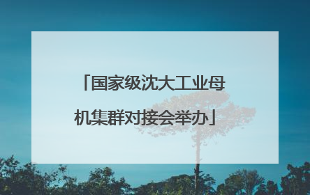 国家级沈大工业母机集群对接会举办